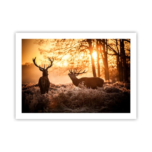 Póster - El sueño de un cazador - 70x50 cm