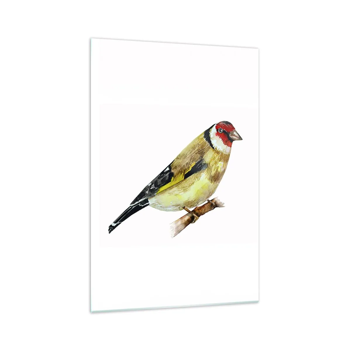 Cuadro sobre vidrio - Impresiones sobre Vidrio - Un pájaro con la cabeza roja en una rama. - 70x100cm - Retrato de pájaro - Decoración de pared moderna para salón y dormitorio ARTTOR