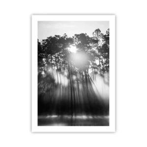 Póster - Escena de bosque en blanco y negro con rayos de sol en la niebla. - 50x70cm - Sol imparable - Decoración de pared moderna para salón y dormitorio ARTTOR