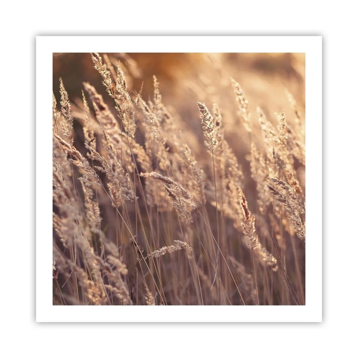 Póster - Listos para dar la bienvenida al otoño - 60x60 cm