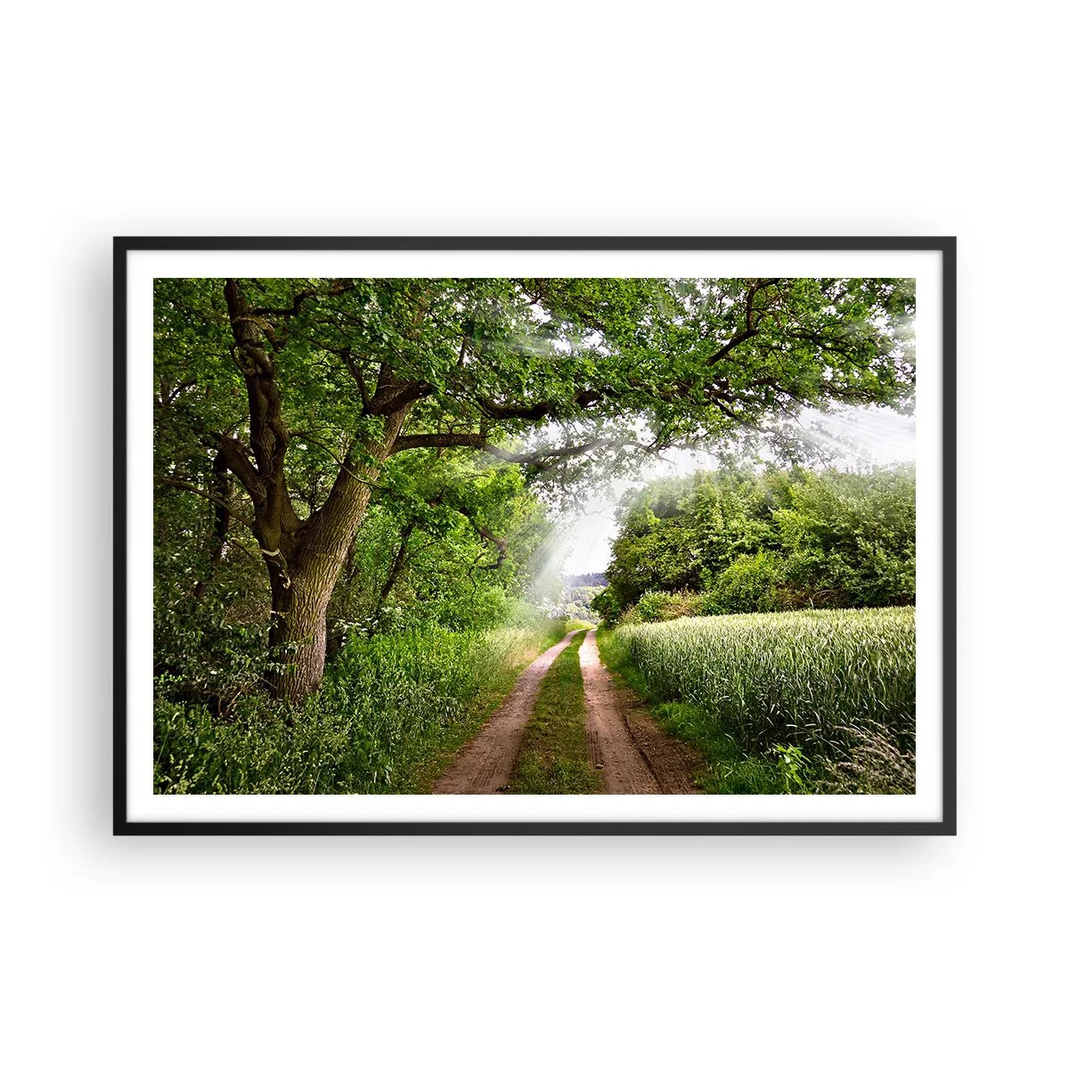 Póster en marco negro - Un camino de tierra entre árboles verdes y luz solar. - 100x70cm - Ensueño - Decoración de pared moderna para salón y dormitorio ARTTOR
