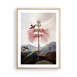 Póster en marco roble claro - En un paraíso tropical - 50x70 cm