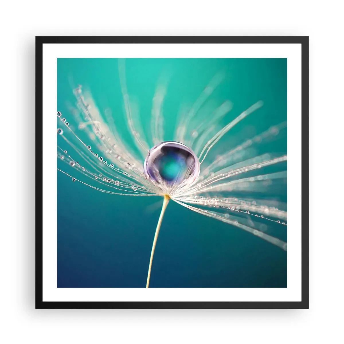 Póster en marco negro - Momento místico - 60x60 cm