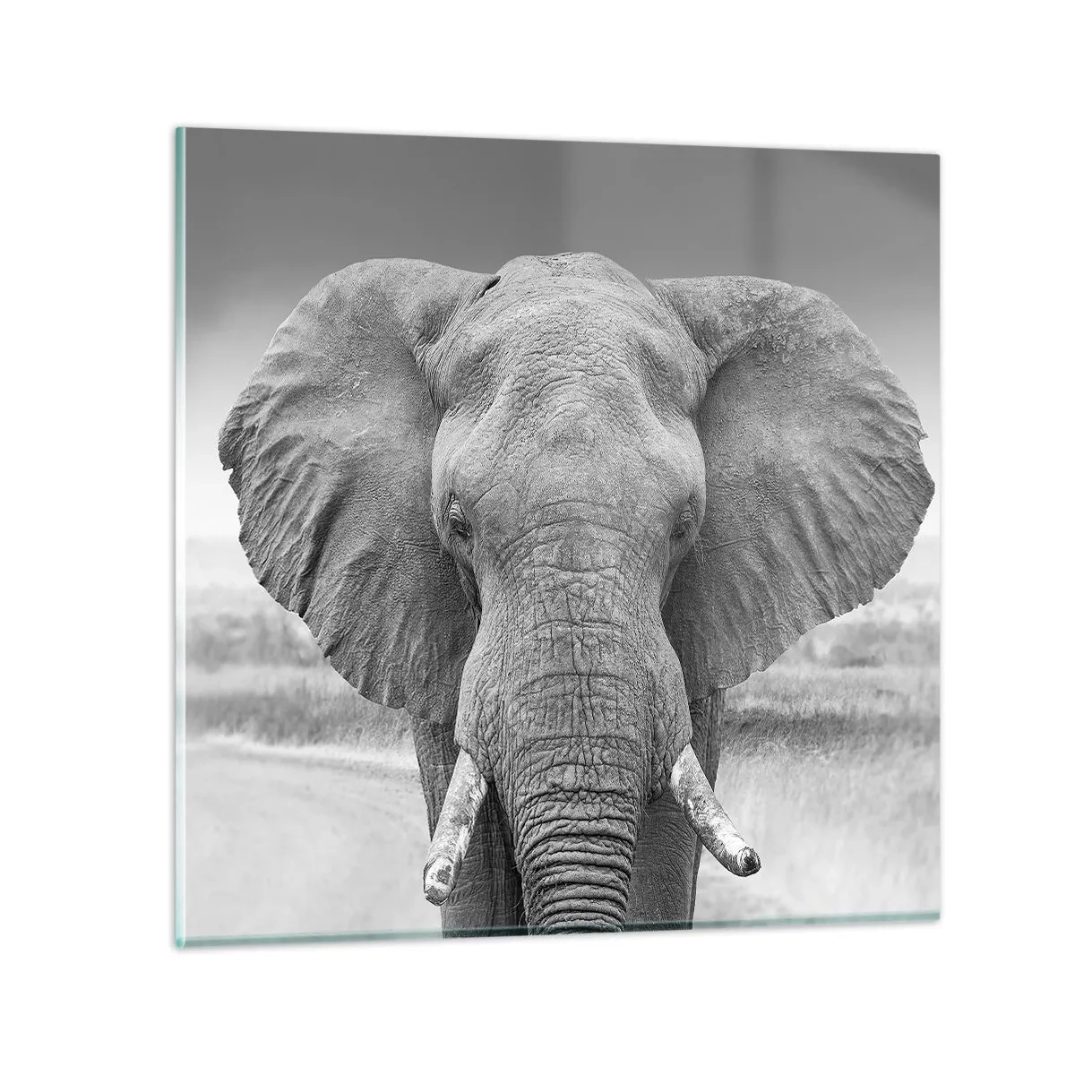 Cuadro sobre vidrio - Impresiones sobre Vidrio - Bienvenido a mi mundo - 50x50 cm