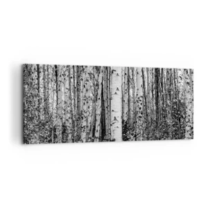 Cuadro sobre lienzo - Impresión de Imagen - Abedules blancos y negros en el bosque - 120x50cm - Columnas de abedules - Decoración de pared moderna para salón y dormitorio ARTTOR