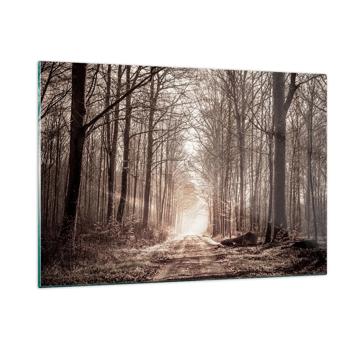 Cuadro sobre vidrio - Impresiones sobre Vidrio - Camino forestal en la niebla matutina - 120x80cm - La catedral del bosque - Decoración de pared moderna para salón y dormitorio ARTTOR
