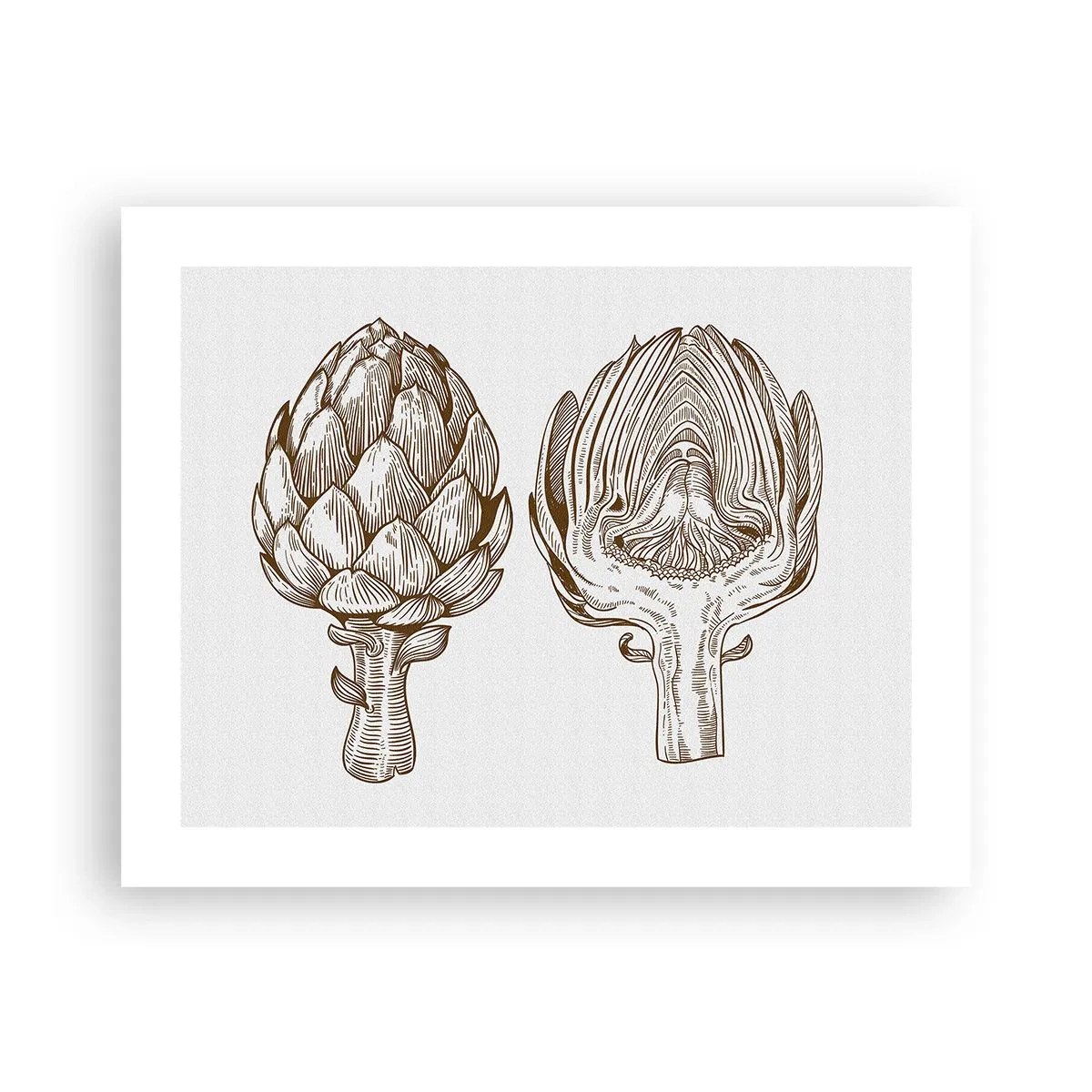 Póster - Lección de anatomía - 50x40 cm