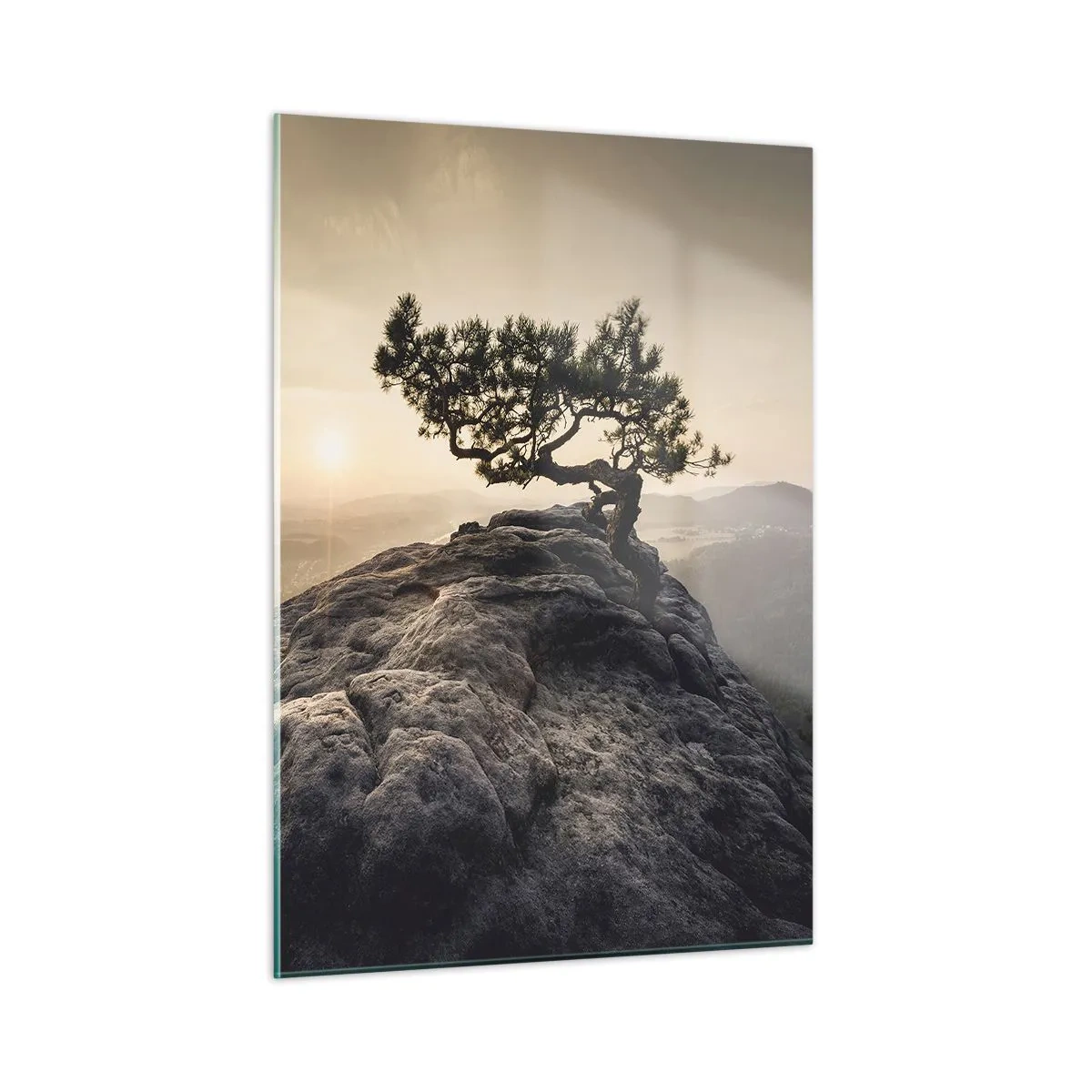 Cuadro sobre vidrio - Impresiones sobre Vidrio - Un árbol sobre una roca a la luz del sol naciente. - 50x70cm - La vida se abre camino - Decoración de pared moderna para salón y dormitorio ARTTOR