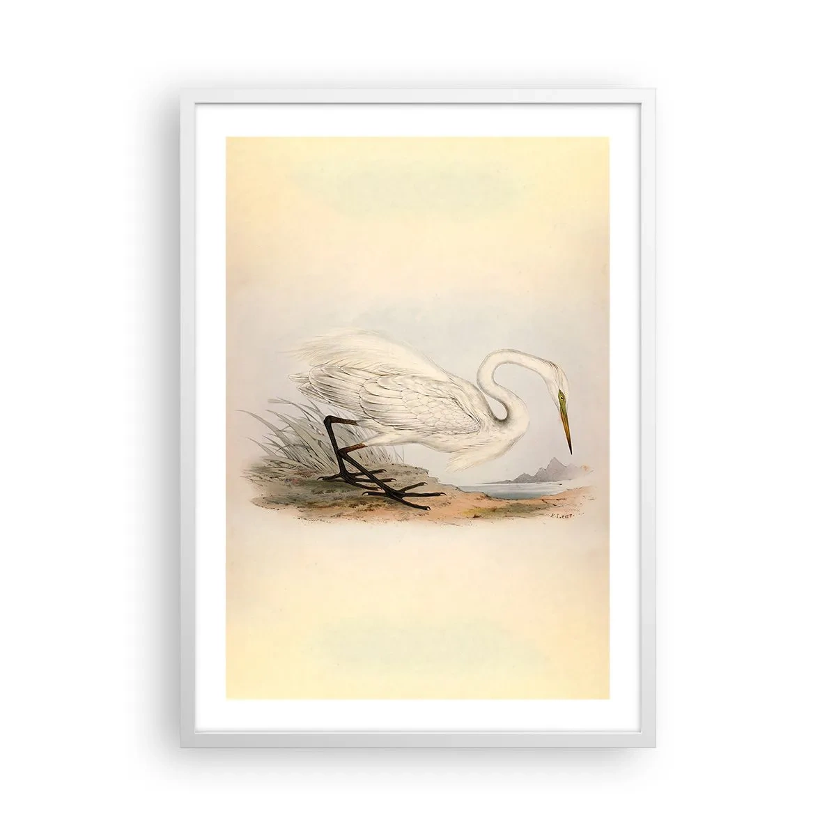 Póster en marco blanco - Dama de los juncos - 50x70 cm