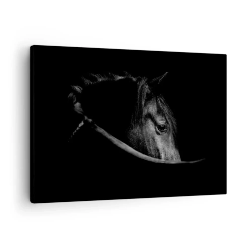 Cuadro sobre lienzo - Impresión de Imagen - Un retrato en blanco y negro de un caballo con un sutil juego de luces y sombras sobre un fondo oscuro. - 70x50cm - Príncipe negro - Decoración de pared moderna para salón y dormitorio ARTTOR
