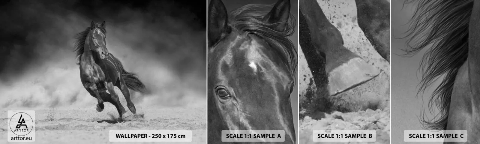 Muestra de fotomural autoadhesivo Deluxe Sticker - Digno del propio emir - Caballo, animales, Naturaleza - 100x30 cm