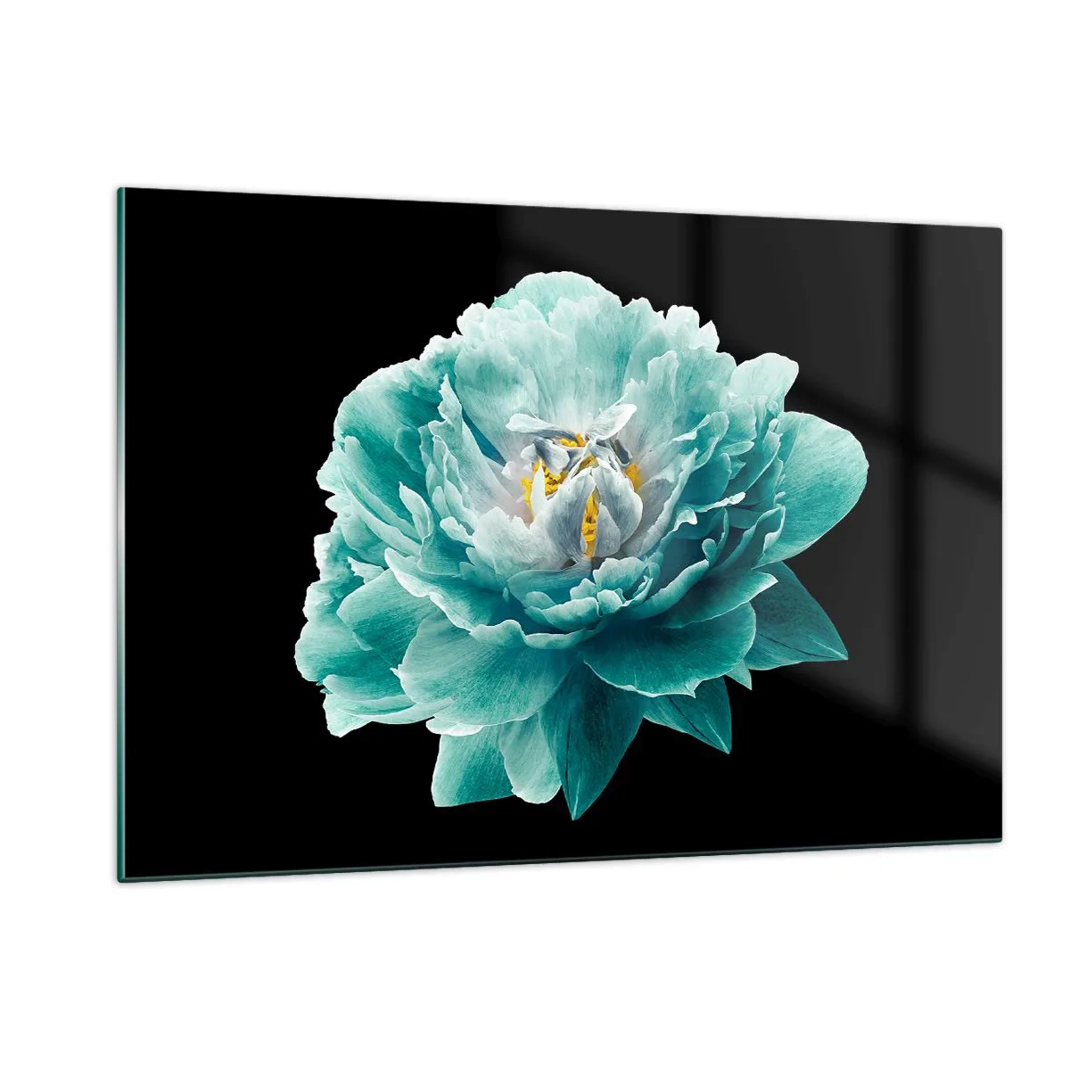 Cuadro sobre vidrio - Impresiones sobre Vidrio - Una flor turquesa con un centro amarillo sobre un fondo negro en un estilo glamoroso. - 120x80cm - Pétalos azules y dorados - Decoración de pared moderna para salón y dormitorio ARTTOR