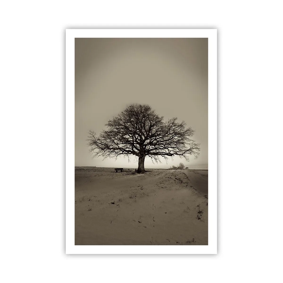 Póster - De aquí a la eternidad - 61x91 cm