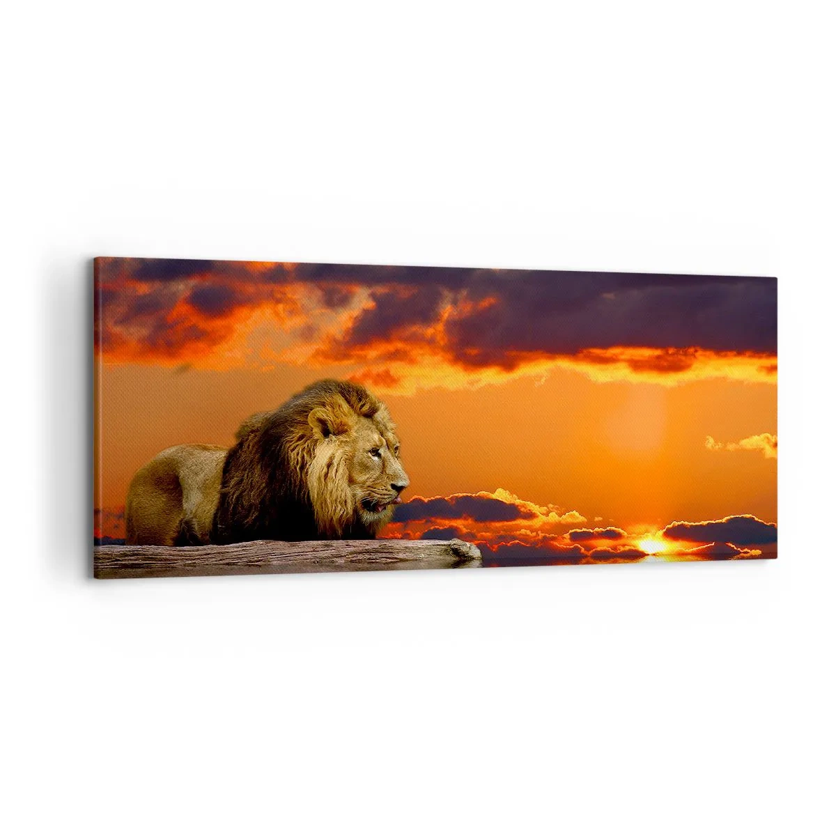 Cuadro sobre lienzo - Impresión de Imagen - Un león descansa junto al agua al atardecer con un cielo dramático. - 120x50cm - Rey de la naturaleza - Decoración de pared moderna para salón y dormitorio ARTTOR