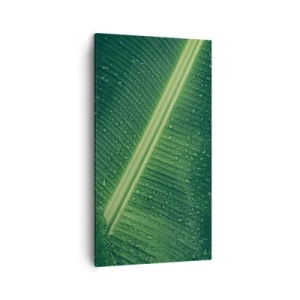 Cuadro sobre lienzo - Impresión de Imagen - Estructura del verde - 45x80 cm