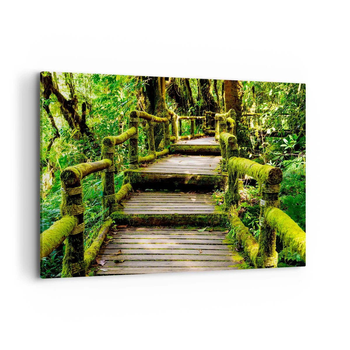 Cuadro sobre lienzo - Impresión de Imagen - Un puente de madera cubierto de musgo en una selva tropical. - 120x80cm - A través de un corredor verde - Decoración de pared moderna para salón y dormitorio ARTTOR