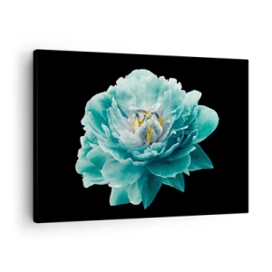 Cuadro sobre lienzo - Impresión de Imagen - Flor de peonía turquesa sobre fondo negro - 70x50cm - Pétalos azules y dorados - Decoración de pared moderna para salón y dormitorio ARTTOR
