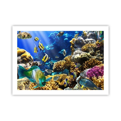 Póster - Vacaciones submarinas - 70x50 cm
