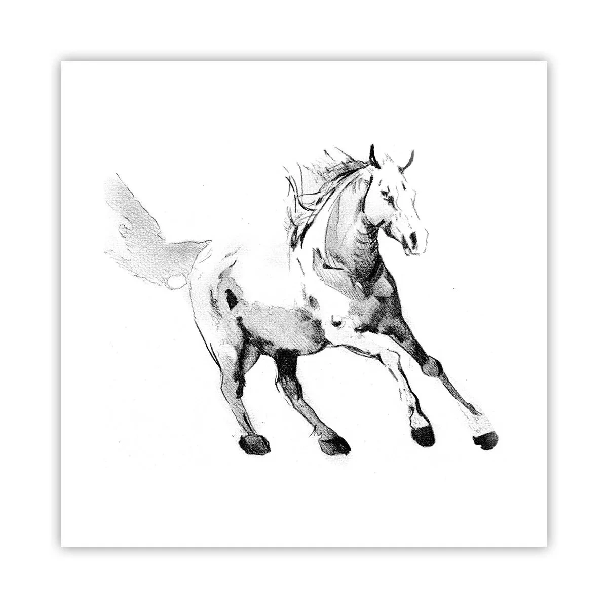 Póster - Alma indómita - 40x40 cm