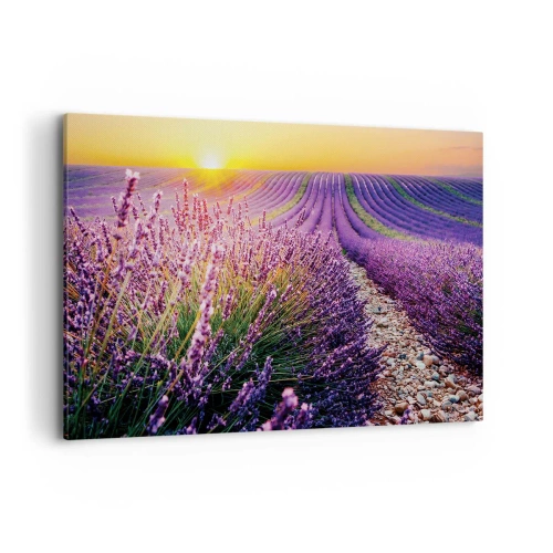 Cuadro sobre lienzo - Impresión de Imagen - Campo de lavanda al atardecer - 120x80cm - Pradera fragante - Decoración de pared moderna para salón y dormitorio ARTTOR