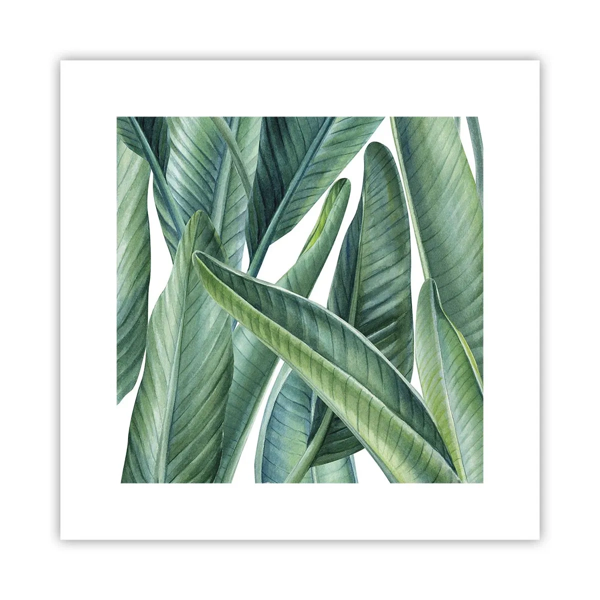Póster - Vegetación en estado puro - 30x30 cm