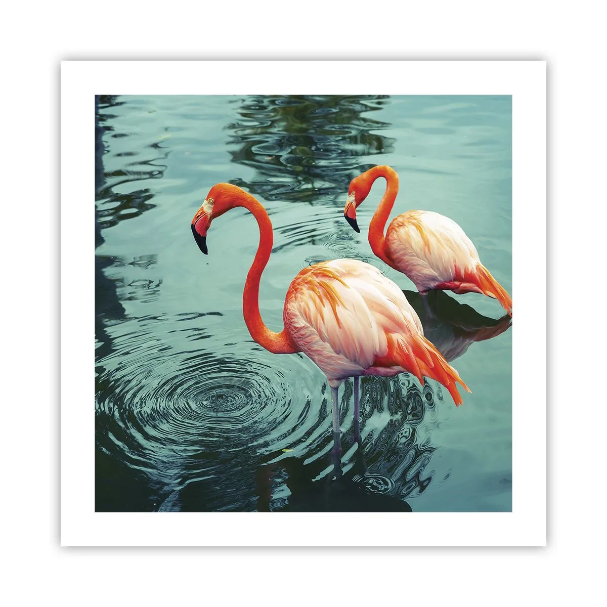 Póster - Estamos de moda - 50x50 cm