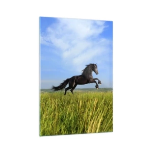 Cuadro sobre vidrio - Impresiones sobre Vidrio - Un caballo negro corriendo contra un cielo azul y un prado verde. - 70x100cm - Emocionante manifiesto de libertad - Decoración de pared moderna para salón y dormitorio ARTTOR