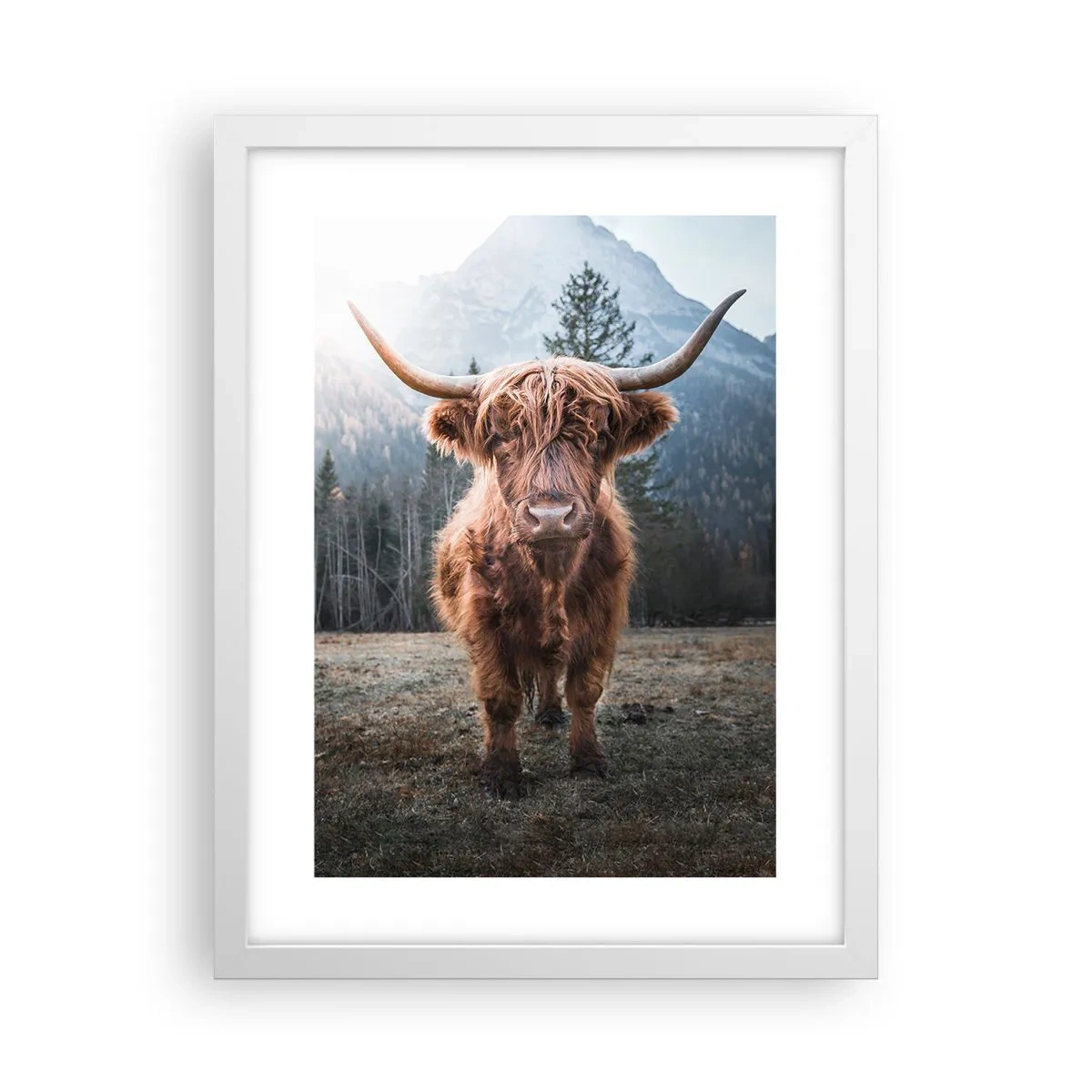 Póster en marco blanco - Saludos desde un prado de montaña - 30x40 cm