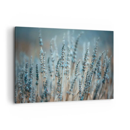 Cuadro sobre lienzo - Impresión de Imagen - Lavanda en el campo en sutiles tonos pastel. - 120x80cm - Fragante pasto - Decoración de pared moderna para salón y dormitorio ARTTOR