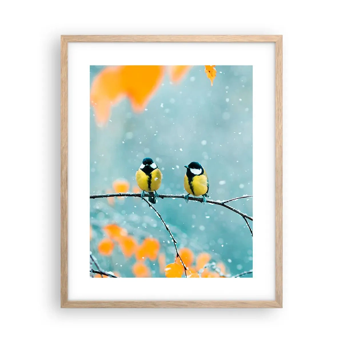 Póster en marco roble claro - Cotilleo de pájaros - 40x50 cm