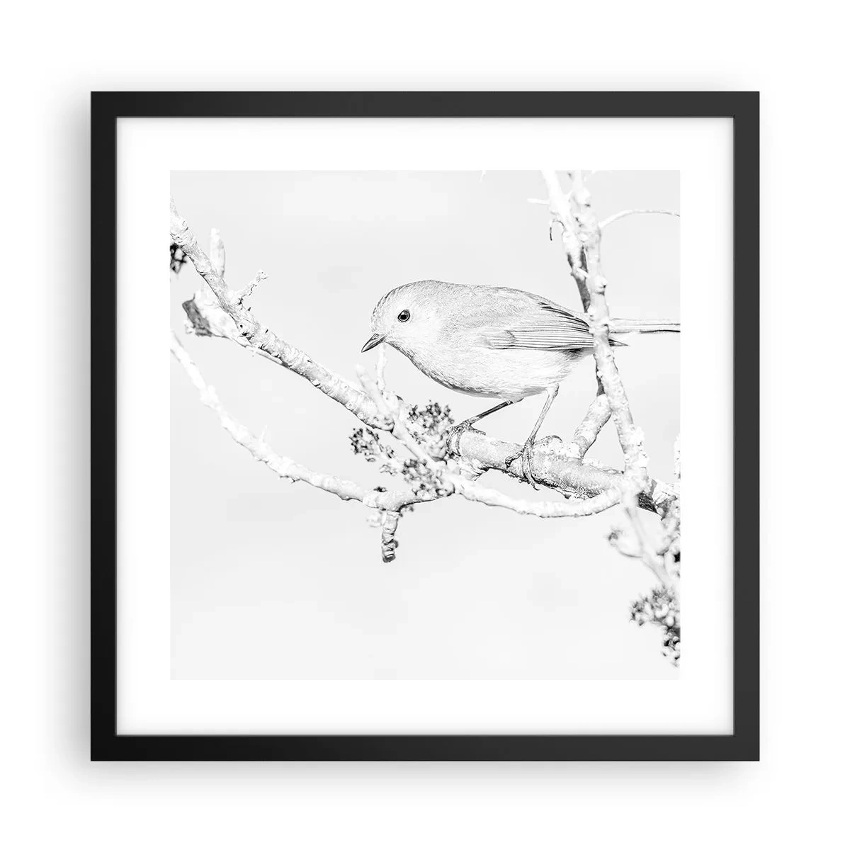 Póster en marco negro - Mañana de invierno - 40x40 cm