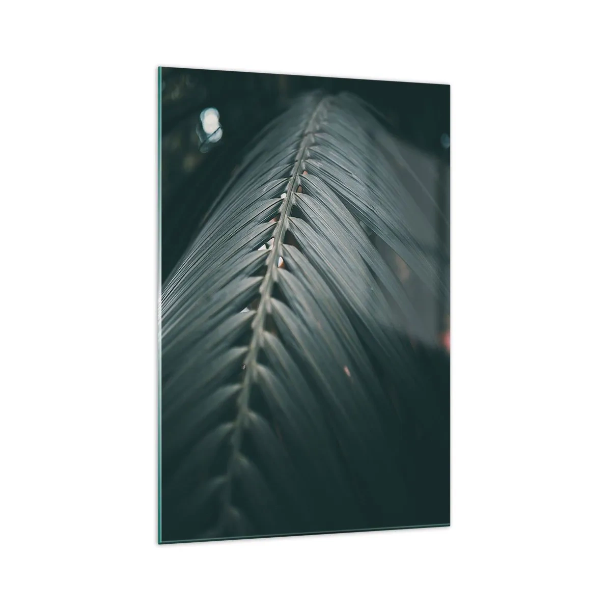 Cuadro sobre vidrio - Impresiones sobre Vidrio - Primer plano de un detalle de hoja de palma en tonos oscuros - 70x100cm - La precisión de la naturaleza - Decoración de pared moderna para salón y dormitorio ARTTOR