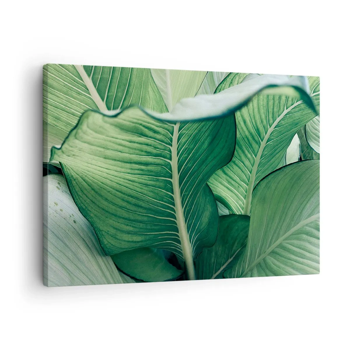 Cuadro sobre lienzo - Impresión de Imagen - Hojas verdes con detalles expresivos y estructura. - 70x50cm - Vida intensamente verde - Decoración de pared moderna para salón y dormitorio ARTTOR