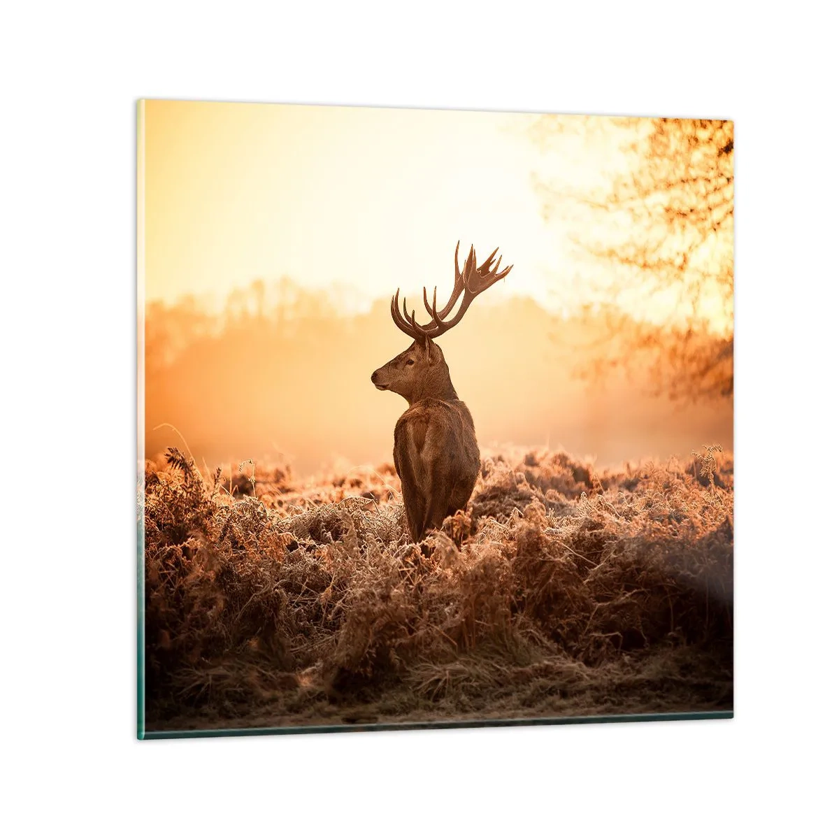 Cuadro sobre vidrio - Impresiones sobre Vidrio - Un líder por derecho - 50x50 cm