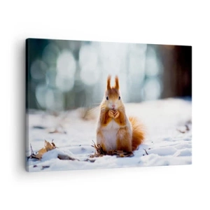 Cuadro sobre lienzo - Impresión de Imagen - Una ardilla en un paisaje invernal. - 70x50cm - ¿Qué estás mirando? - Decoración de pared moderna para salón y dormitorio ARTTOR