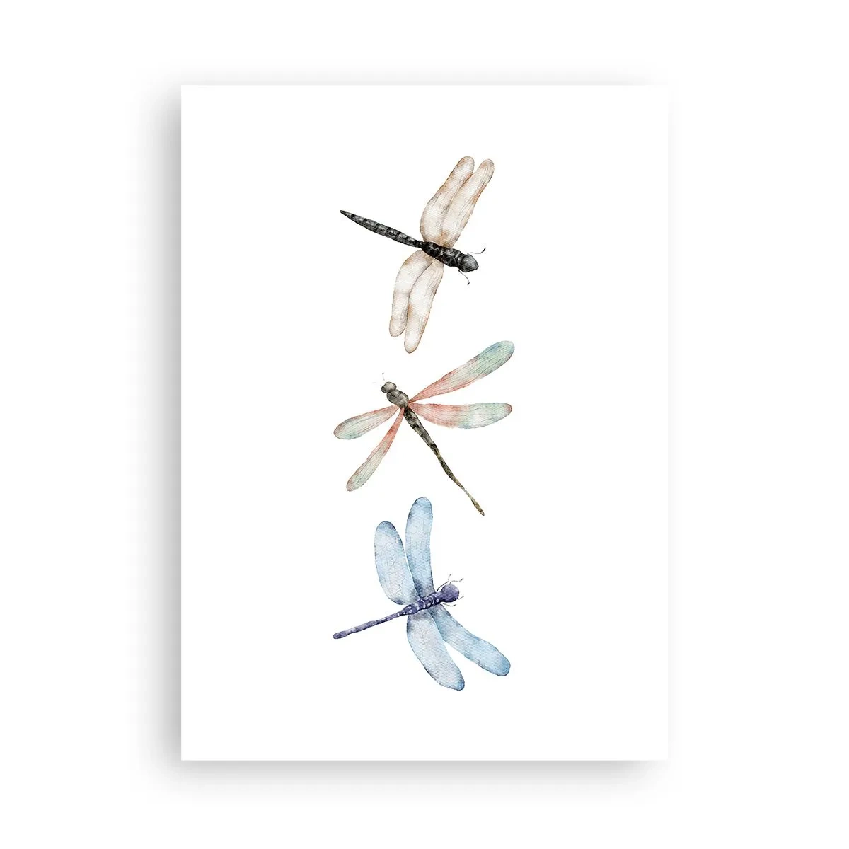 Póster - Tres libélulas pintadas en acuarela - 50x70cm - Libélulas ingrávidas - Decoración de pared moderna para salón y dormitorio ARTTOR