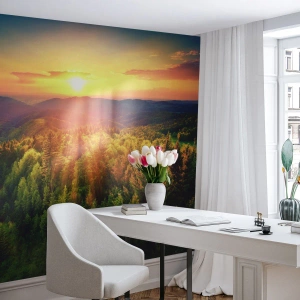 Fotomural Autadhesivo Deluxe Sticker - Desde lo alto - Paisaje, Bosque, Montañas - 100x70 cm
