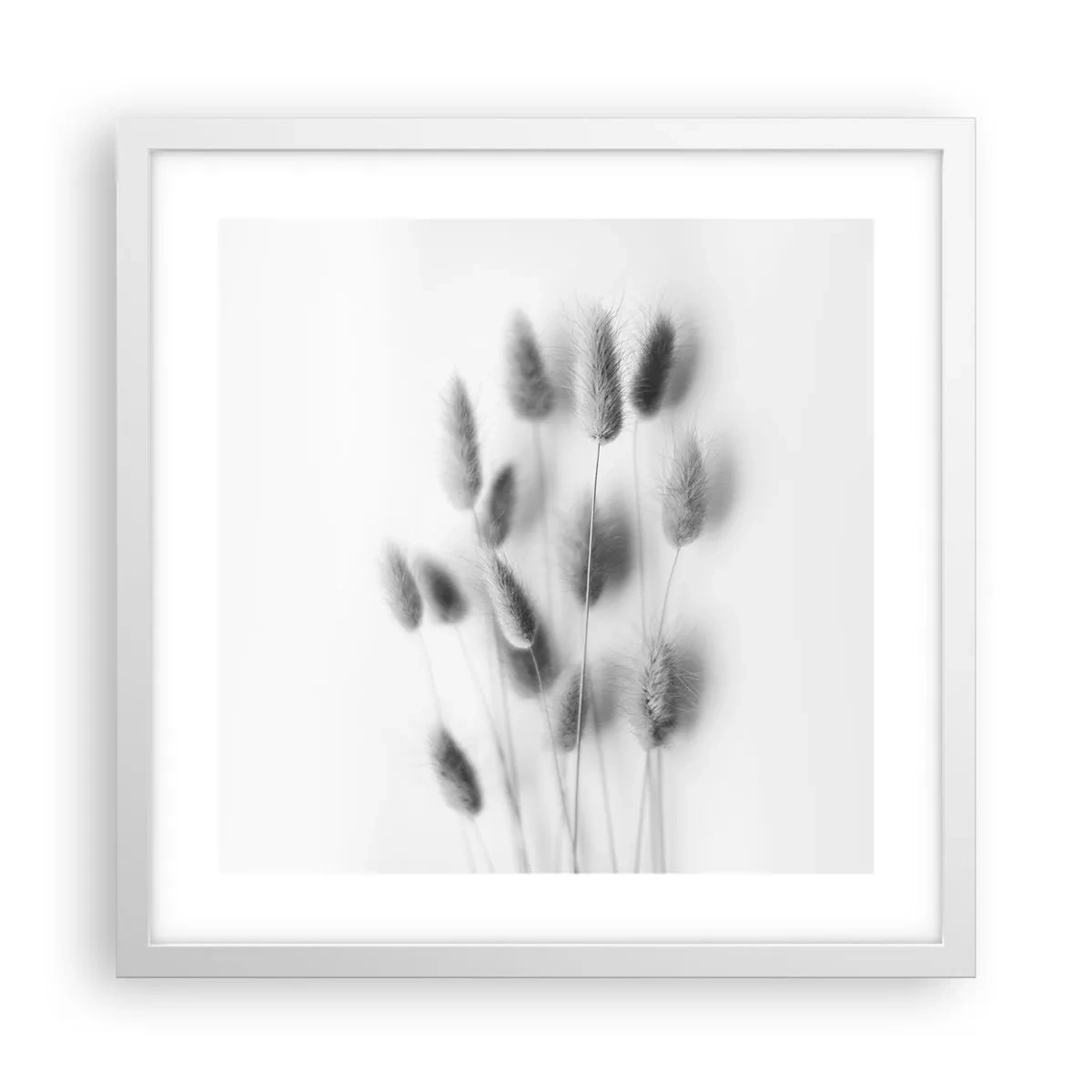 Póster en marco blanco - Esponjas naturales - 40x40 cm