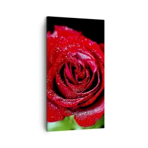 Cuadro sobre lienzo - Impresión de Imagen - Eso es el amor - 45x80 cm
