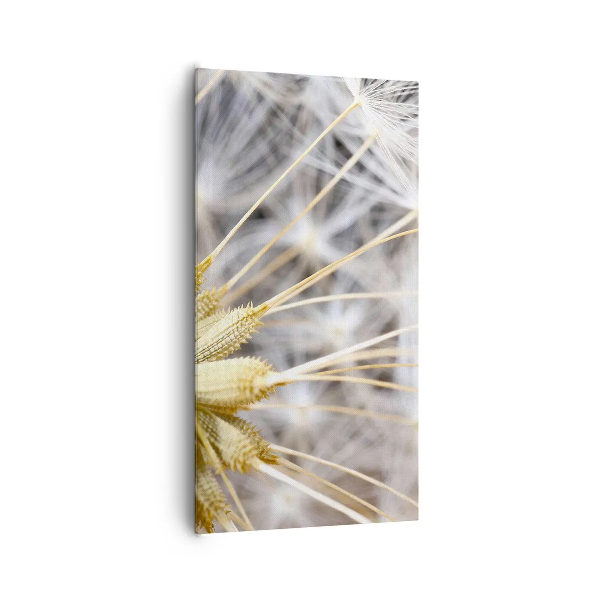 Cuadro sobre lienzo - Impresión de Imagen - Justo antes de volar - 65x120 cm