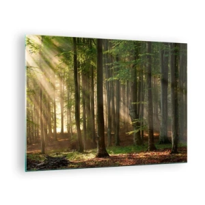 Cuadro sobre vidrio - Impresiones sobre Vidrio - Los rayos del sol brillan a través de los árboles del bosque. - 70x50cm - Radiante en una mañana de primavera - Decoración de pared moderna para salón y dormitorio ARTTOR