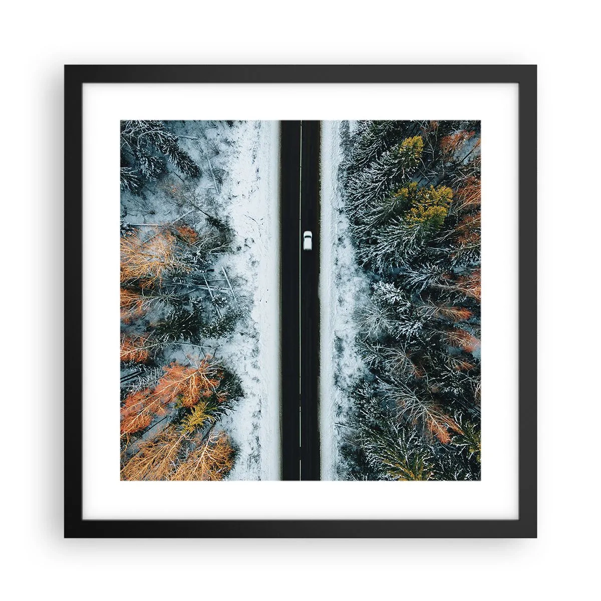 Póster en marco negro - Atravesar el bosque en invierno - 40x40 cm