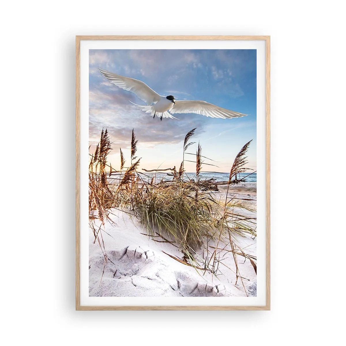 Póster en marco roble claro - Viento del mar - 70x100 cm