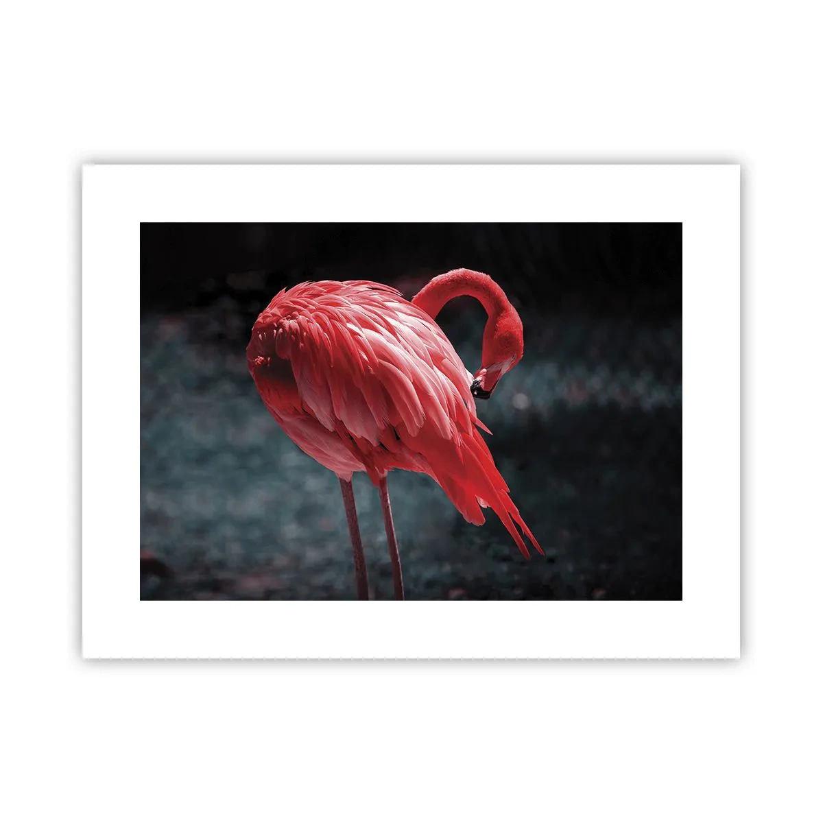 Póster - Un poema carmesí de la naturaleza - 40x30 cm