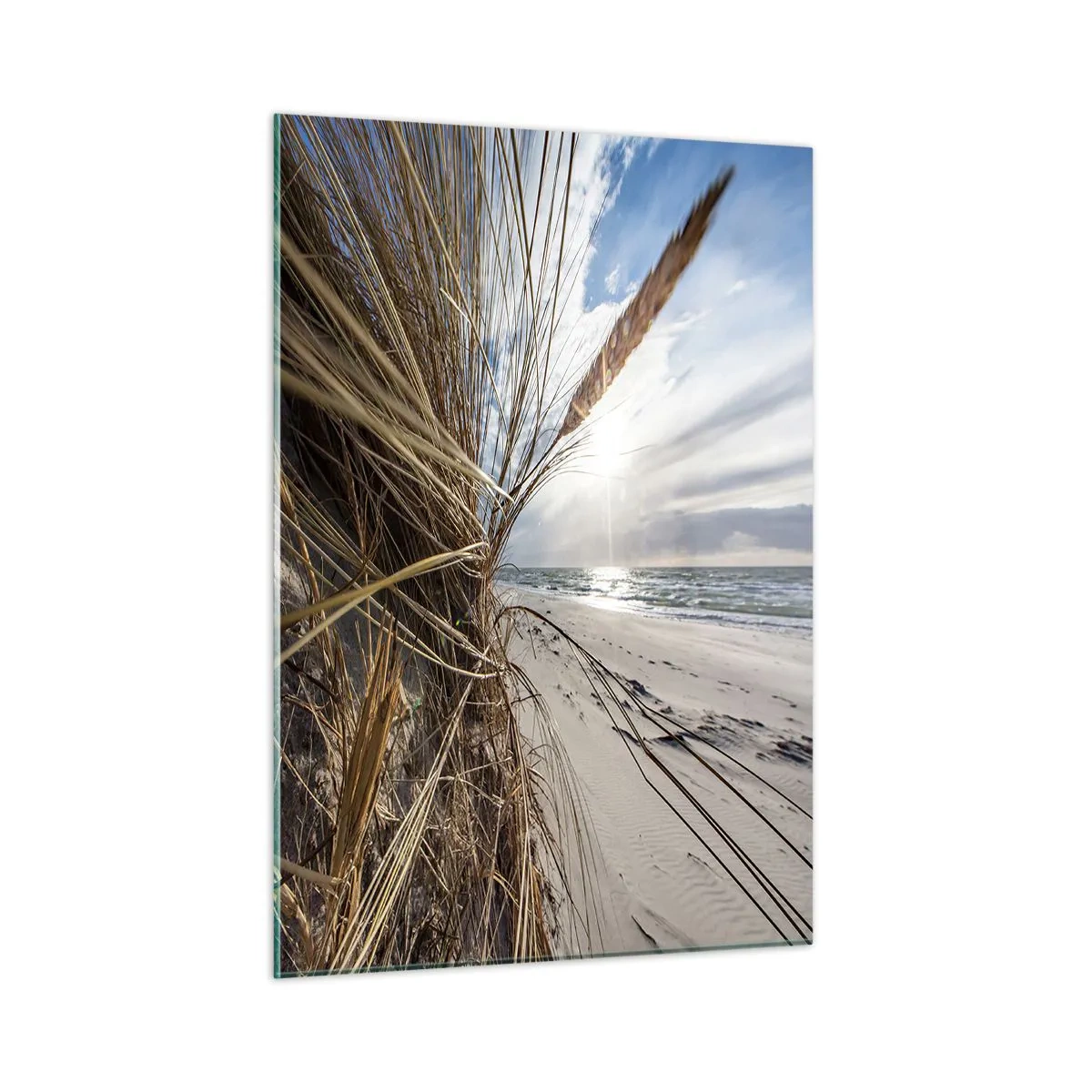 Cuadro sobre vidrio - Impresiones sobre Vidrio - Césped dorado con el telón de fondo de una playa de arena y el mar. - 50x70cm - Una reunión de los elementos - Decoración de pared moderna para salón y dormitorio ARTTOR