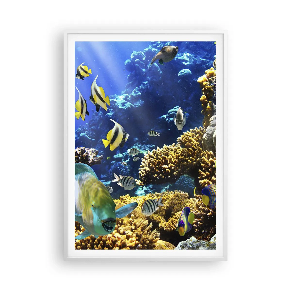 Póster en marco blanco - Vacaciones submarinas - 70x100 cm