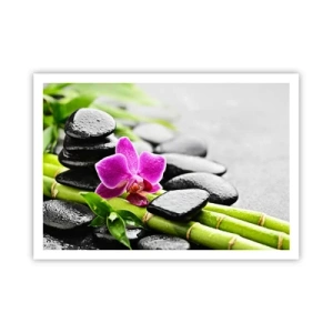 Póster - Orquídea morada, piedras negras y bambú en una composición tranquila. - 100x70cm - En equilibrio pacífico - Decoración de pared moderna para salón y dormitorio ARTTOR