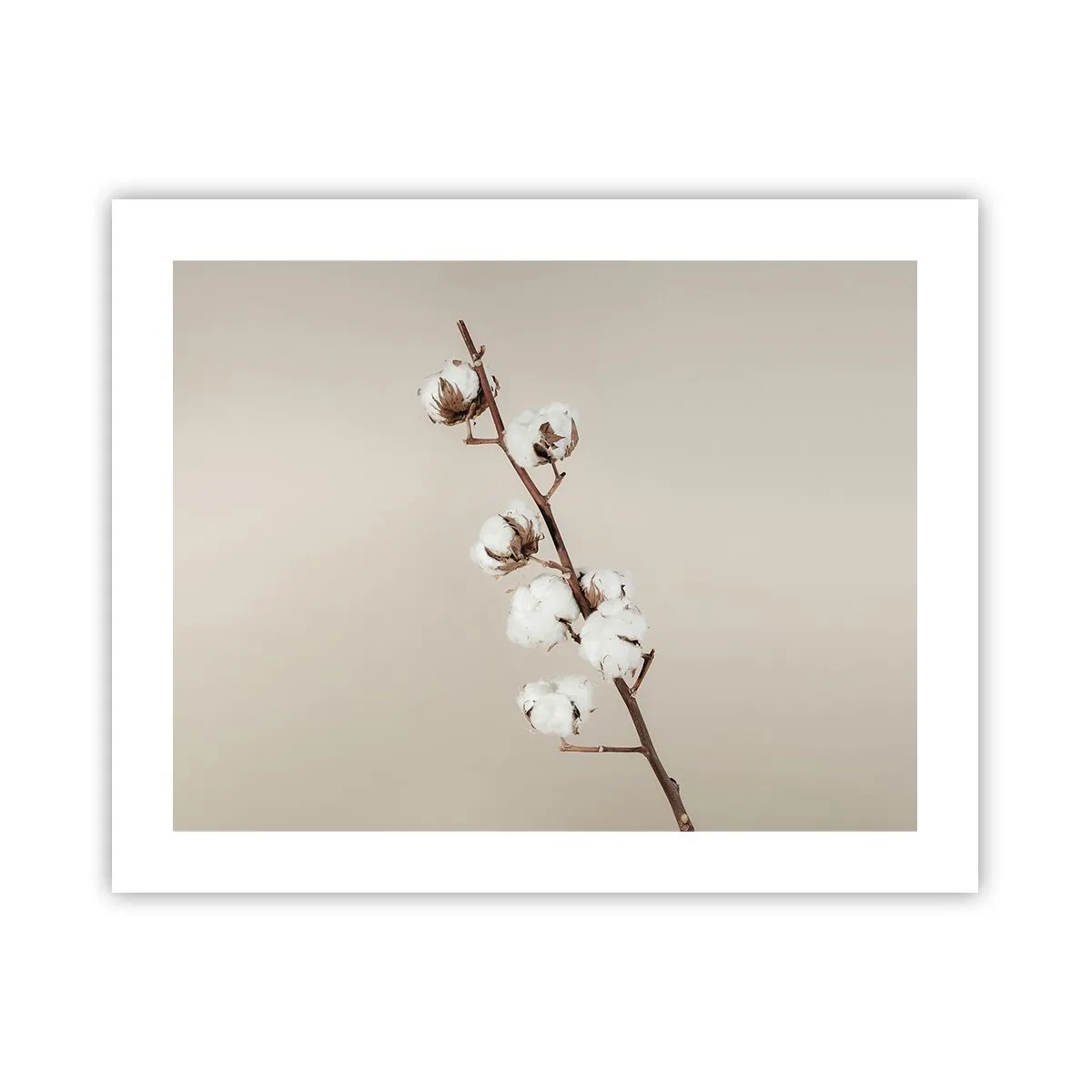 Póster - En la fuente de la suavidad - 50x40 cm