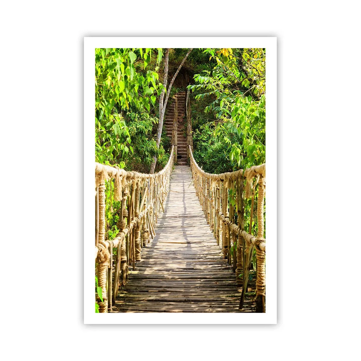 Póster - Suspendido en verde - 61x91 cm