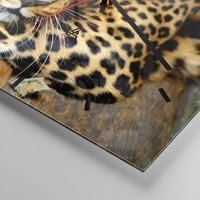 Esfera sin numeración, con rayas